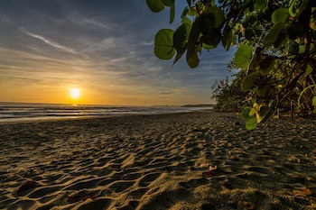 Cariblue Beach And Jungle Resort