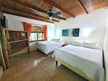 Cariblue Beach And Jungle Resort