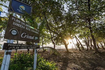 Cariblue Beach And Jungle Resort