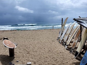 Cariblue Beach And Jungle Resort