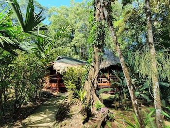 Cariblue Beach And Jungle Resort