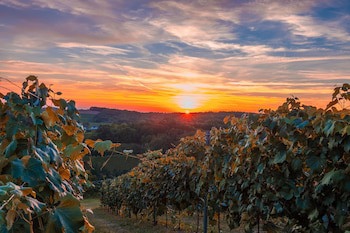 Panoramahof Loipersdorf