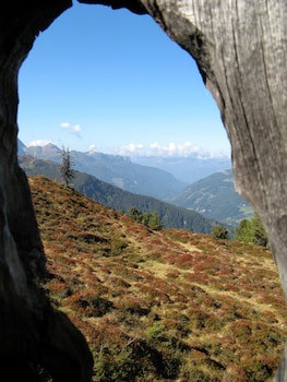 Hotel Alpenherz