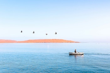 Hotel Paracas, A Luxury Collection Resort, Paracas
