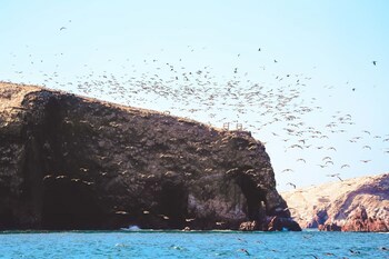 Hotel Paracas, A Luxury Collection Resort, Paracas