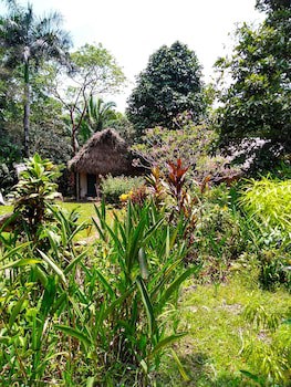 Creekside Oasis