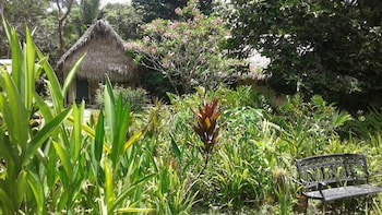 Creekside Oasis