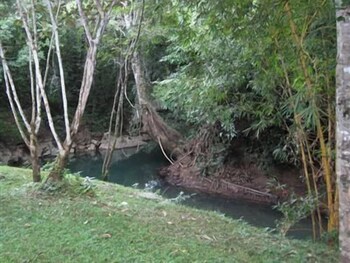 Creekside Oasis