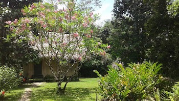 Creekside Oasis