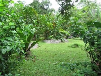 Creekside Oasis