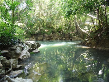 Creekside Oasis