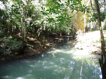 Creekside Oasis