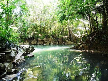 Creekside Oasis
