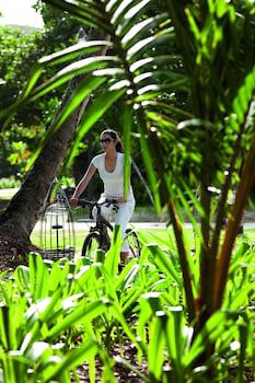 Constance Ephelia, Mahe