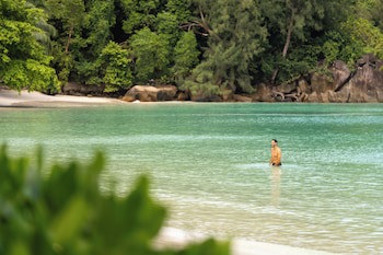Constance Ephelia, Mahe