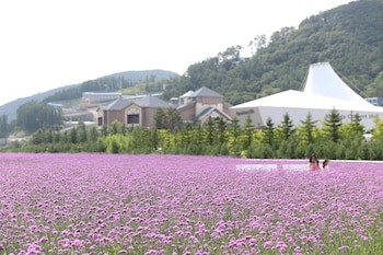 Intercontinental Pyeongchang Resort Alpensia, An Ihg Hotel