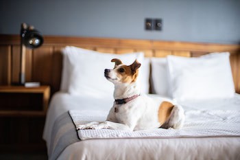 Hotel Bellavista
