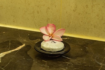 Aanari Hotel And Spa