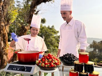 Fountain, Mahabaleshwar - Ihcl Seleqtions