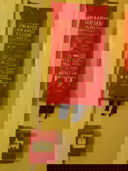 Antique Hostel & Guesthouse