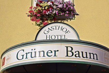 Hotel & Gasthof Gruner Baum galeri fotoğrafı