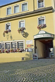Hotel & Gasthof Gruner Baum fotoğrafı