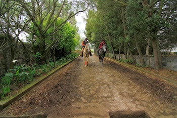 Hacienda Hato Verde
