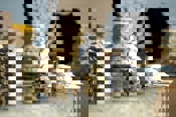 Museum Hotel - Special Class