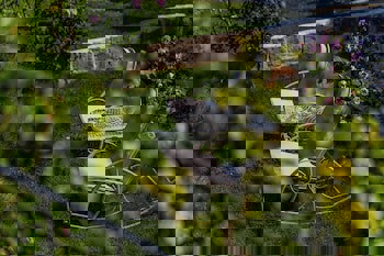 Museum Hotel - Special Class