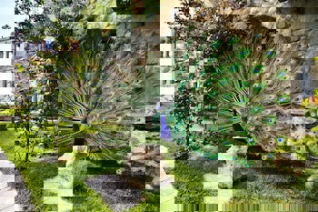 Museum Hotel - Special Class