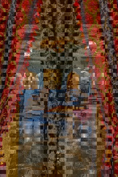 Museum Hotel - Special Class