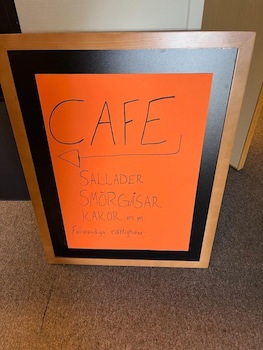Angoringen