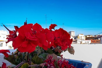 B&B Hi Valencia Canovas