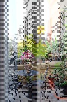 Hotel Bosnali - Special Class