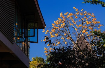Belle Villa Resort Pai
