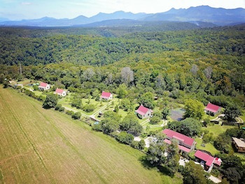 Forest Edge