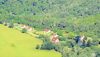 Forest Edge