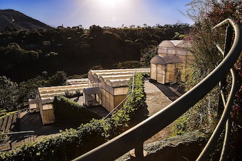 Hotel Unique Garden