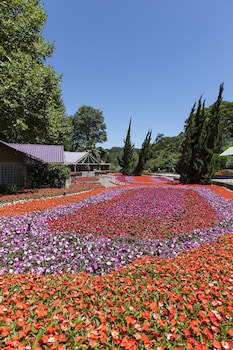Hotel Unique Garden