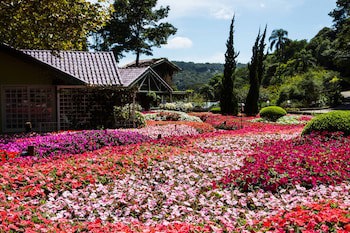 Hotel Unique Garden