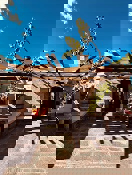 Les Maisons De Cappadoce