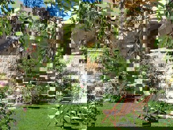 Les Maisons De Cappadoce