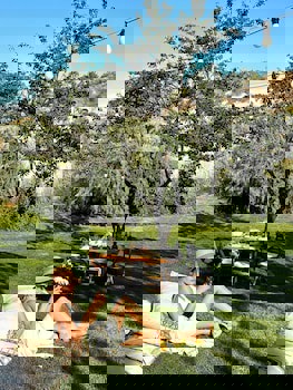 Les Maisons De Cappadoce