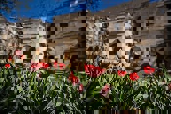 Les Maisons De Cappadoce