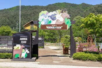 Kensington Hotel Pyeongchang
