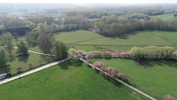 B&B Baron's House Neerijse - Leuven