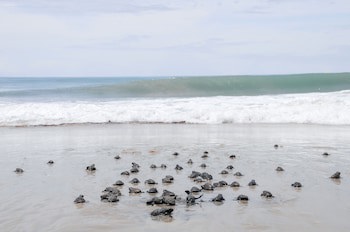 Kilombo Villas & Spa