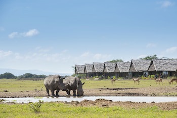 Sweetwaters Serena Camp