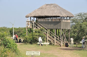 Sweetwaters Serena Camp
