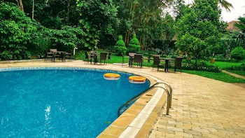 Abad Green Forest